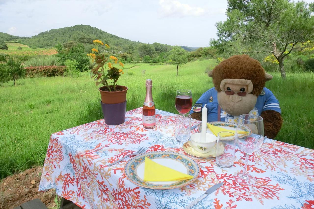 Gite Charlrose At La Platriere Cazedarnes Εξωτερικό φωτογραφία