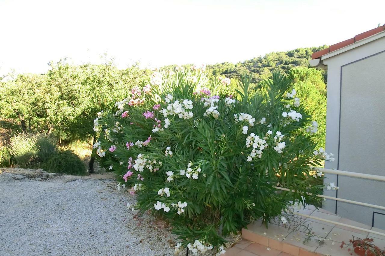 Gite Charlrose At La Platriere Cazedarnes Εξωτερικό φωτογραφία