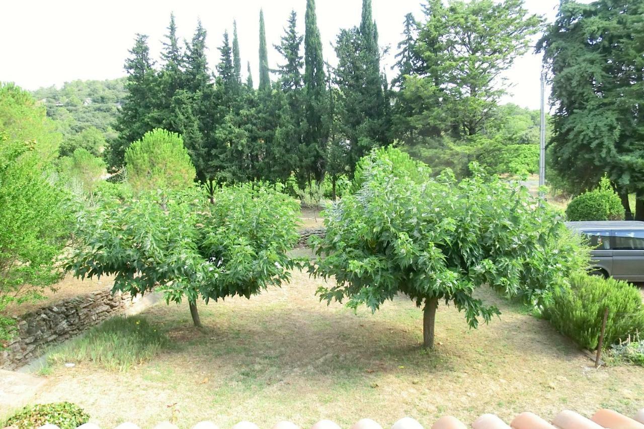 Gite Charlrose At La Platriere Cazedarnes Εξωτερικό φωτογραφία