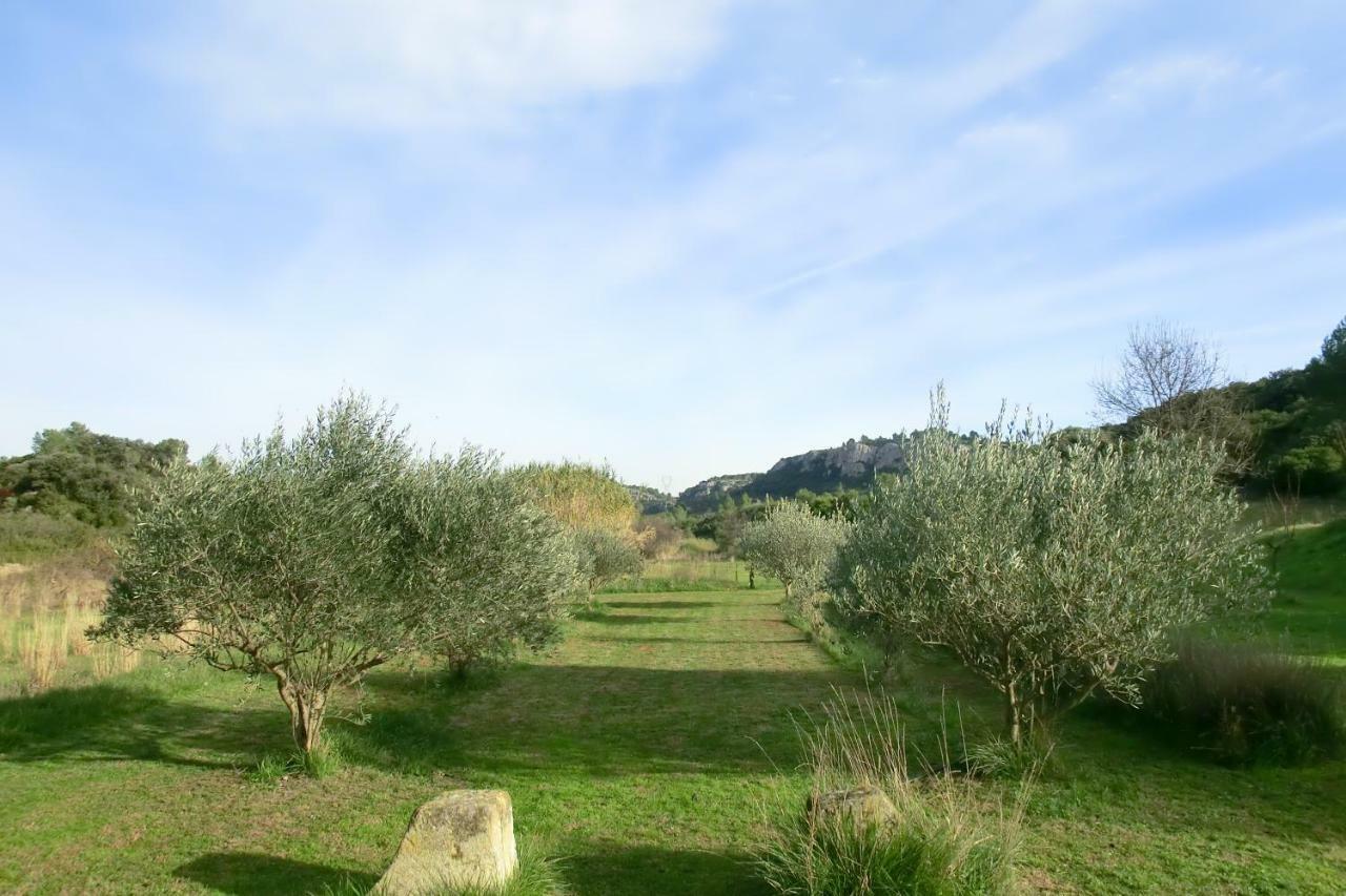 Gite Charlrose At La Platriere Cazedarnes Εξωτερικό φωτογραφία