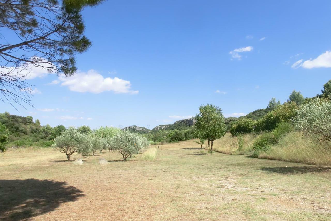 Gite Charlrose At La Platriere Cazedarnes Εξωτερικό φωτογραφία